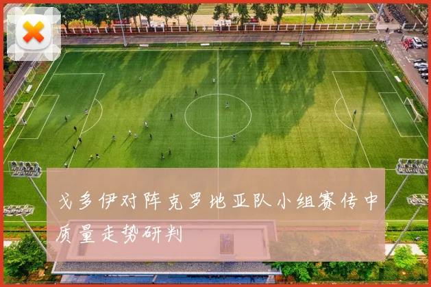 戈多伊对阵克罗地亚队小组赛传中质量走势研判