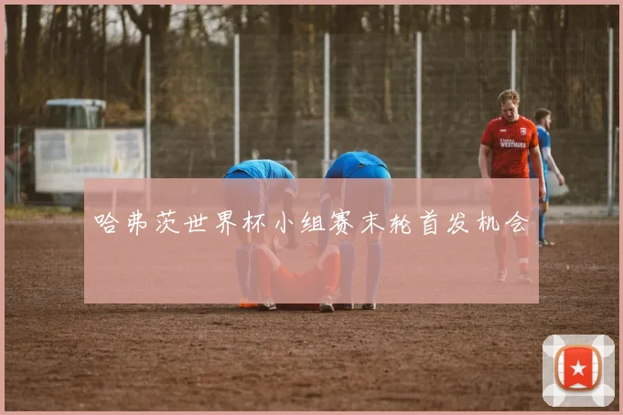 哈弗茨世界杯小组赛末轮首发机会