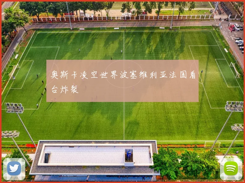 奥斯卡凌空世界波塞维利亚法国看台炸裂