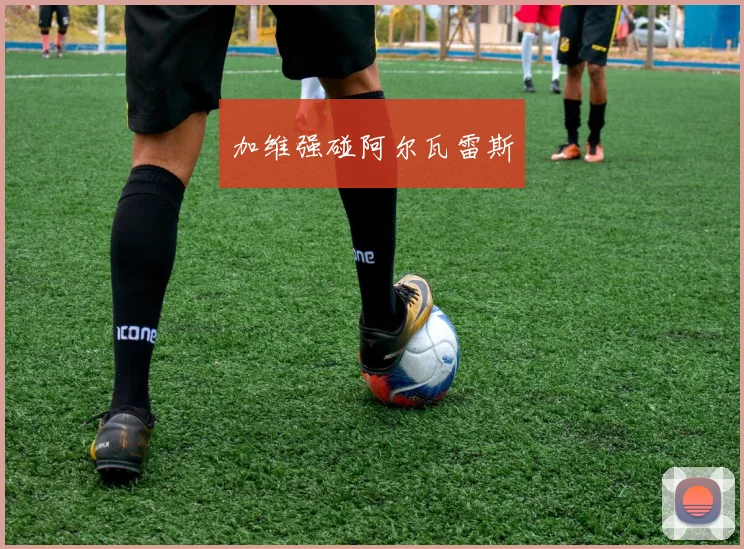 加维强碰阿尔瓦雷斯