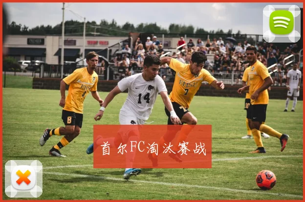 首尔FC淘汰赛战