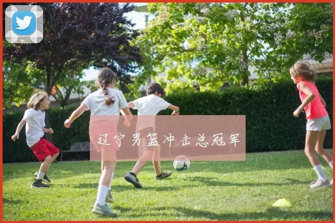 辽宁男篮冲击总冠军