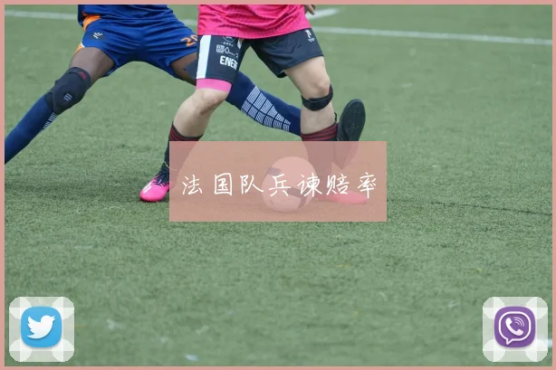 法国队兵谏赔率