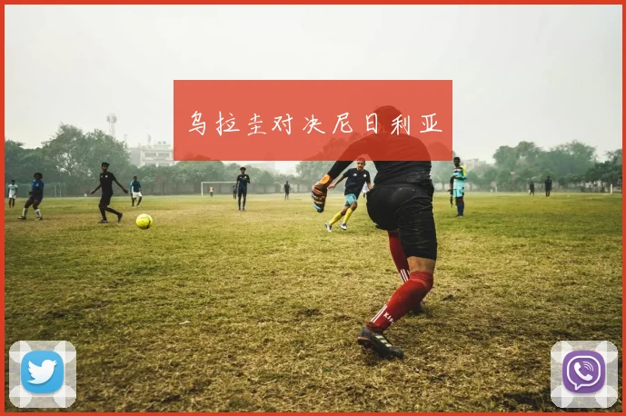 乌拉圭对决尼日利亚