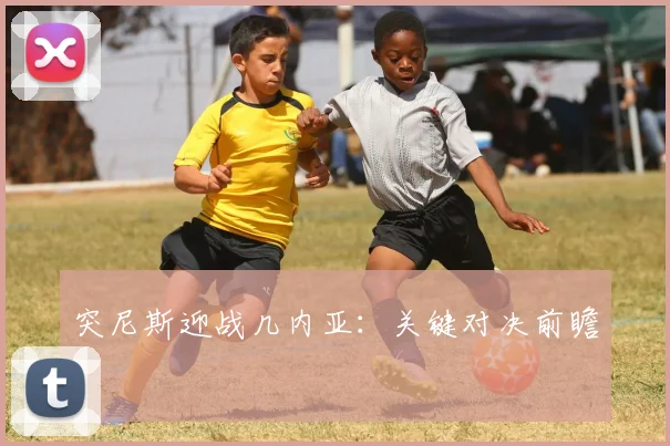 突尼斯迎战几内亚：关键对决前瞻