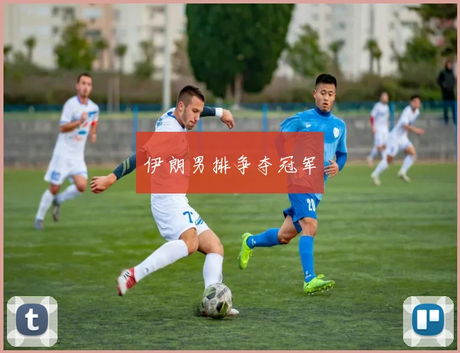 伊朗男排争夺冠军
