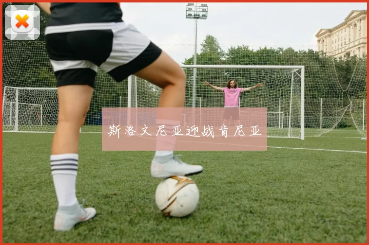斯洛文尼亚迎战肯尼亚