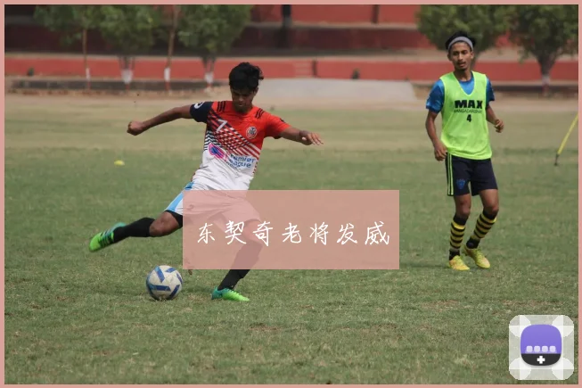 东契奇老将发威