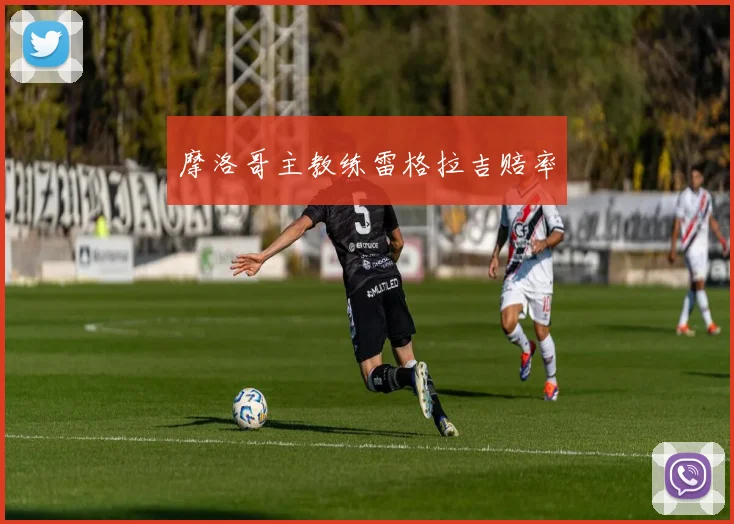 摩洛哥主教练雷格拉吉赔率