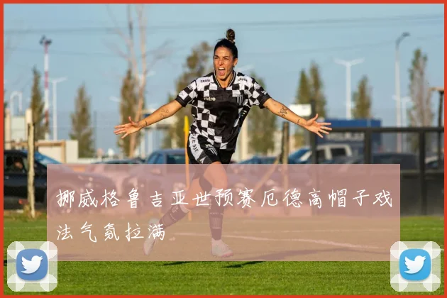 挪威格鲁吉亚世预赛厄德高帽子戏法气氛拉满