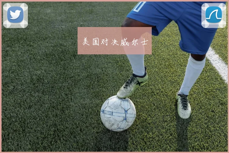 美国对决威尔士