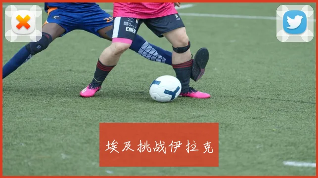 埃及挑战伊拉克