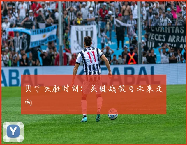 贝宁决胜时刻：关键战役与未来走向