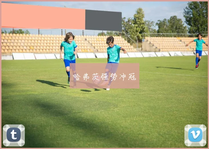 哈弗茨强势冲冠