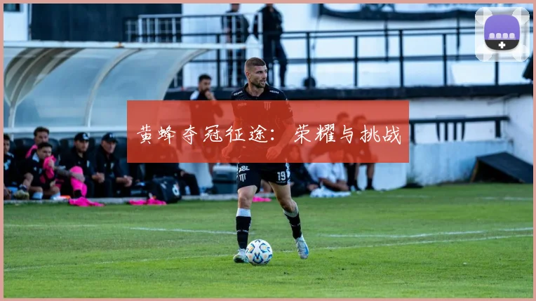 黄蜂夺冠征途：荣耀与挑战