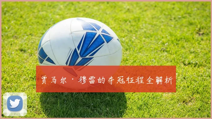 贾马尔·穆雷的夺冠征程全解析