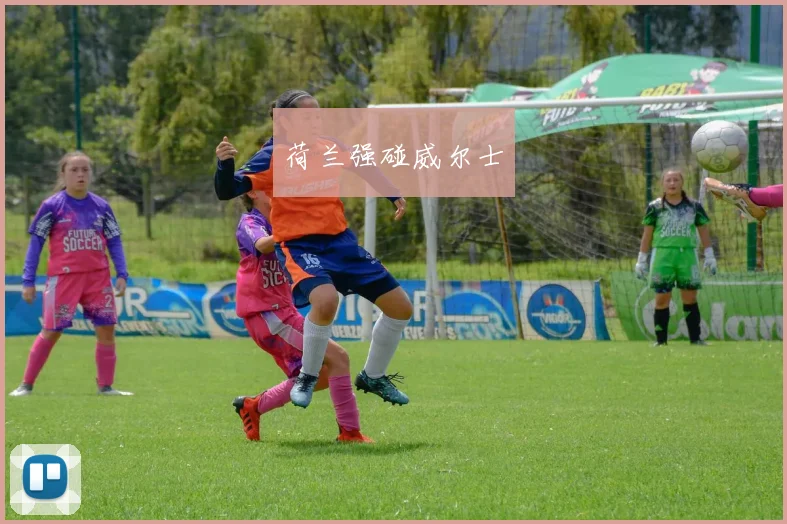 荷兰强碰威尔士