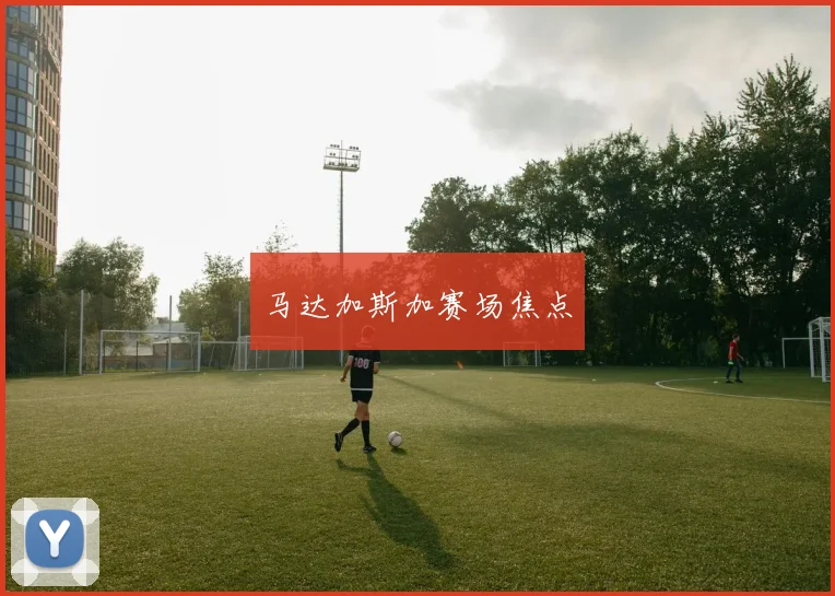 马达加斯加赛场焦点