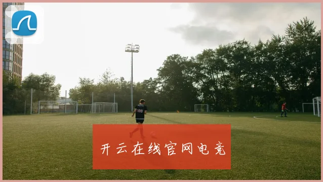 开云在线官网电竞